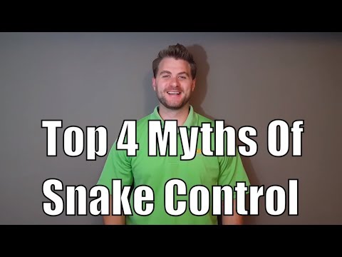 Top 4 Myths of Snake Control