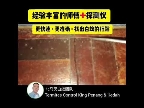 经验丰富的白蚁师傅 + 探测仪