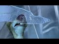 Opening To Ice Age 2002 Disc 1 DVD USA