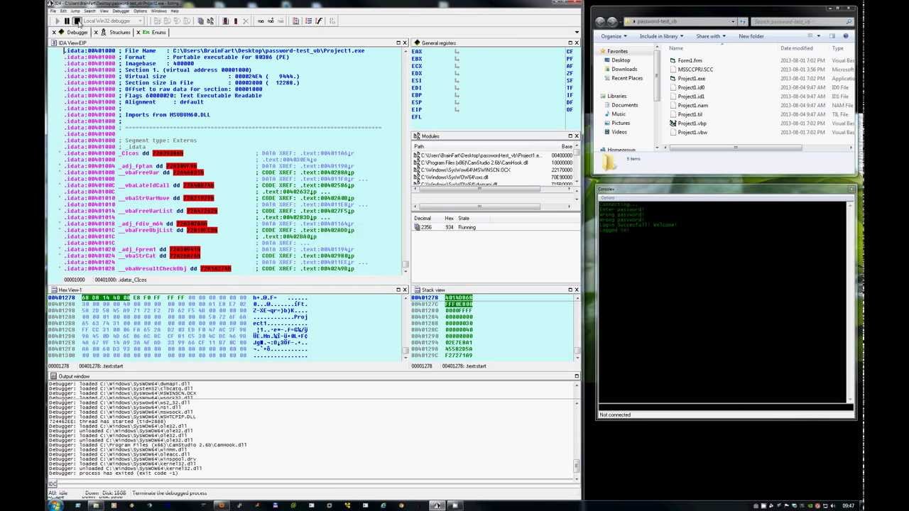 Reverse Engineering with IDA - Password bypass