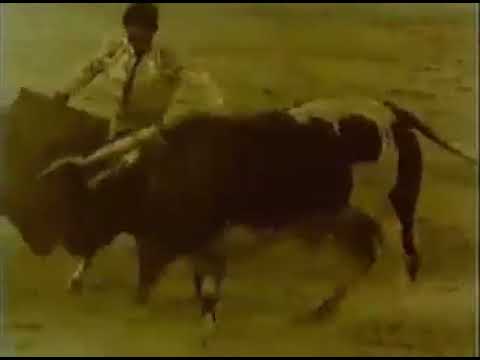 “Tú Solo" documental sobre la vida de niños y adolescentes que sueñan con ser figuras del toreo.