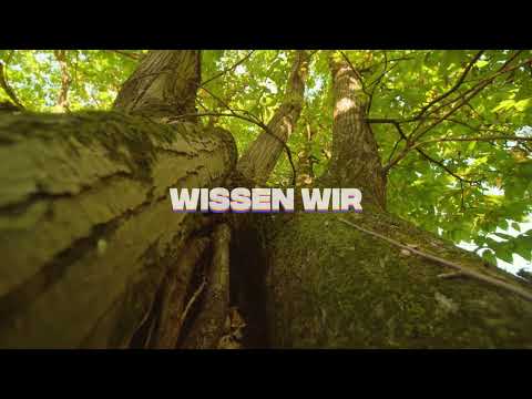 JAYWO X Lazed - Blauer Himmel grauer Pflasterstein (Lyric Video)