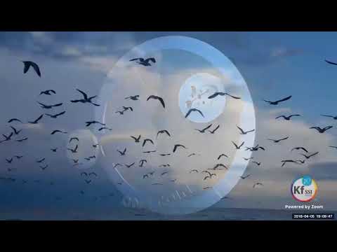 2018 04 05 PM Public Teaching in Hungarian - Nyilvános oktatás magyar nyelven