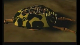 Autechre - Basscadet Mixes - 01 - Basscadet (bcdtmx) - Video