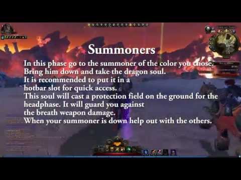 Neverwinter Tiamat Guide English
