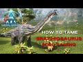 ARK Survival Ascended | How to Tame BRACHIOSAURUS (Ark Additions)