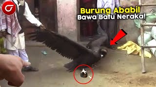 Download lagu GEMPAR! Warga Menangkap Burung Ababil Bawa Batu Dari Neraka! Faktanya Mengejutkan.. mp3