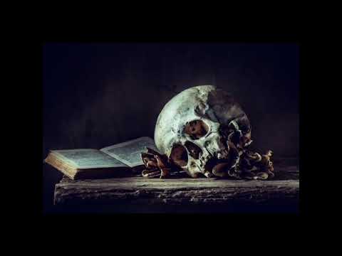 Youtube Video Beb6dhXpHeY