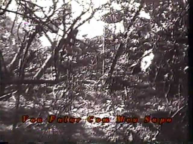 Vomitando Lesmas Lisérgicas (Petter Baiestorf, 1997)