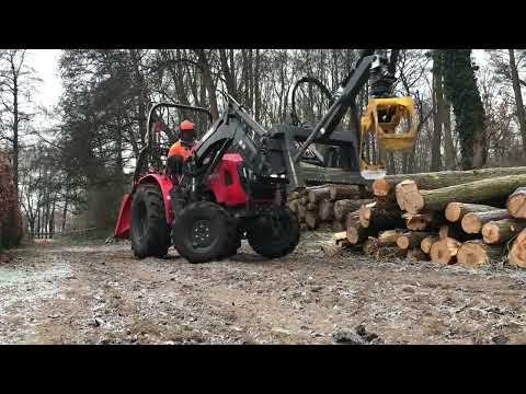 Holzernte im Erlenbruch | Waldarbeit bei Frost