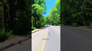 Download lagu පස්සෙන් ගියත් අල්ලන්න බැරි රංගිරි දඹුලු ❤️යාපනේ - කොලඹ 🚍 #slbus #automobile #travel #automobile mp3