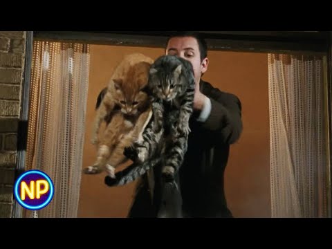 Mr. Deeds | Saving Cats From an Apartment Fire