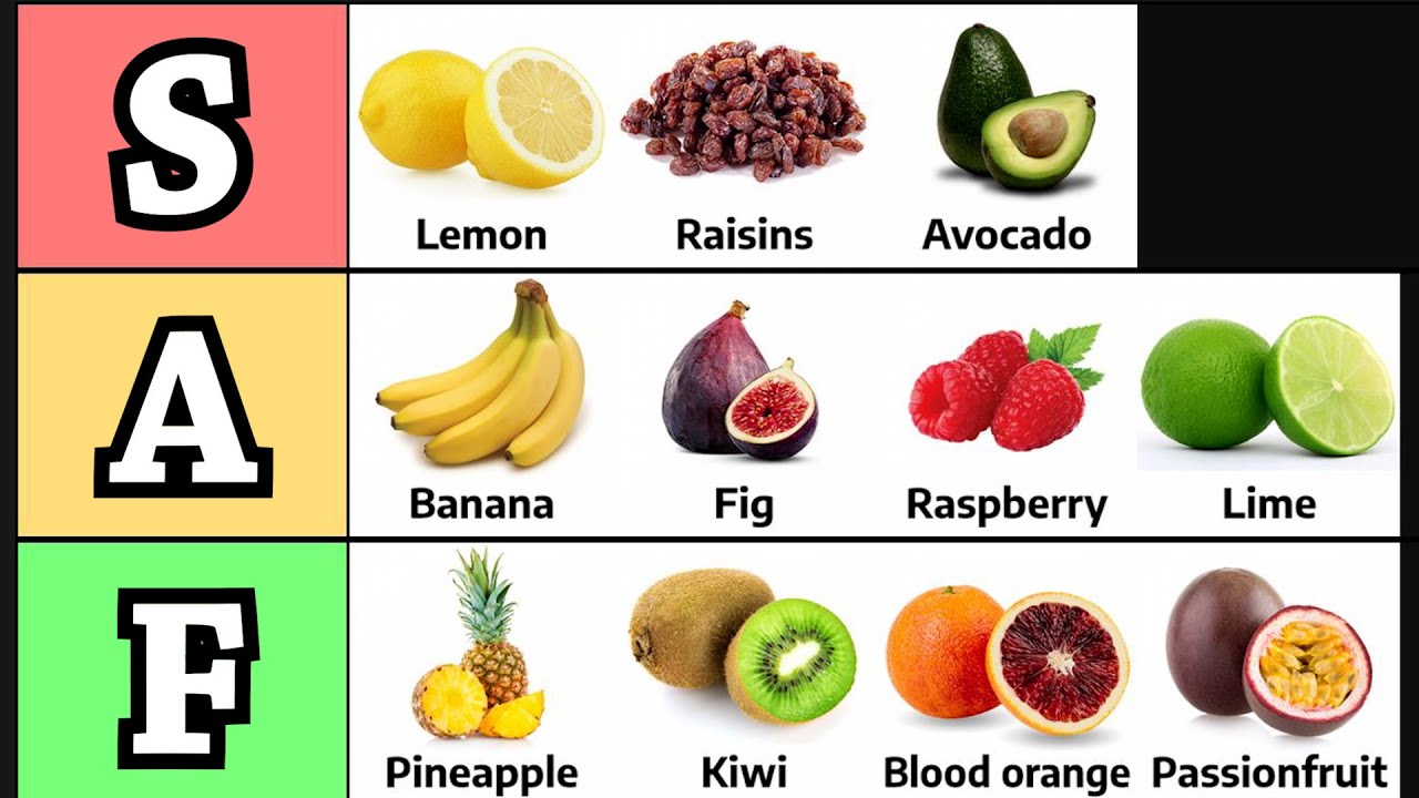 A Stupid Man Makes Stupid Tier Lists