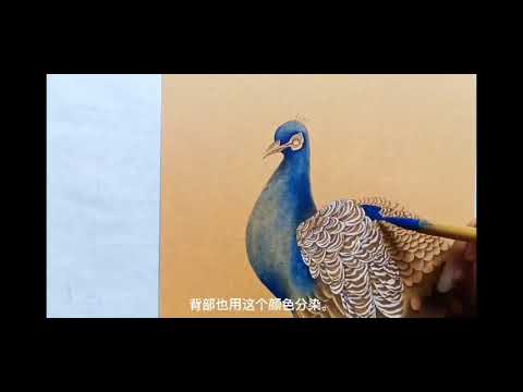 孔雀畫