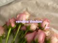 Vandine Thedum S L O W E D R E V E R B Lilvibe