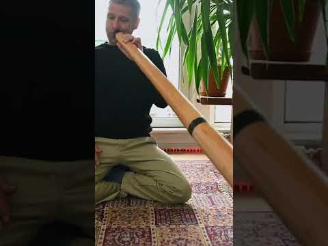 Didgeridoo Improvisation - played by Tayfun Schulzke