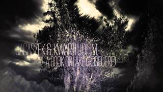 Jacaszek & Kwartludium — A Book of Lake (Roseliere)