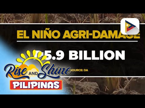 Pinsala ng #ElNiñoPH, umabot na sa halos P6-B; Produksyon ng palay, bumaba sa unang quarter ng 2024