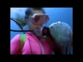 Woman Makes Best Friends with Moray Eel (Moray Crazy Magic)
