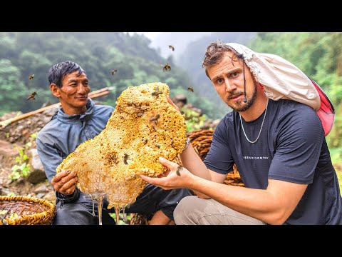 I Tried Nepal's Rare Hallucinogenic Honey