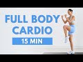 15 MIN FULL BODY CARDIO WORKOUT FAT BURNING No Jumping No Squats No Lunges