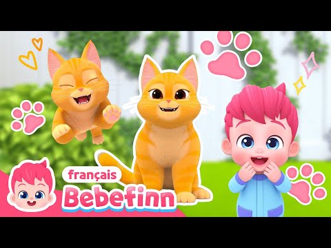 🐱La Chanson du Chat | Je Suis Un Chat Roux | Chanter avec Bebefinn👶 Chansons pour Enfants