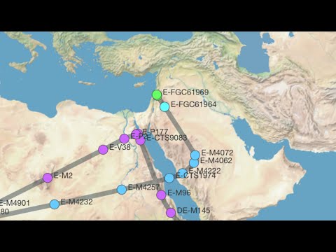 E1B1A Found in the Iron Age Levant