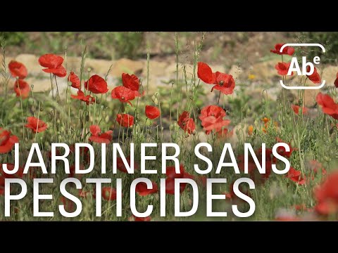 , title : 'Jardiner sans pesticides. ABE-RTS'
