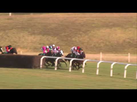 29.10.2017, HIPODROM MOST, 92. BILFINGER Českomoravská cena