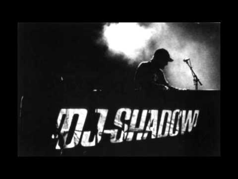 Won't You Be - Dj Shadow