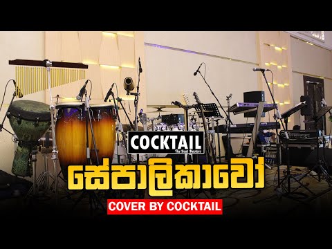 Cocktail LIVE | SEPALIKAWO | Shehan Kaushalya | සේපාලිකාවෝ | Cover By Cocktail