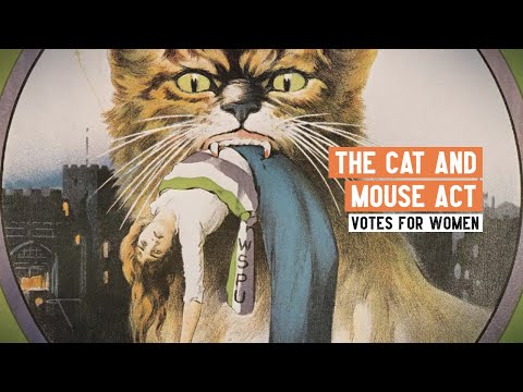 download lagu mp3 mp4 Cat And Mouse Act, download lagu Cat And Mouse Act gratis, unduh video klip Cat And Mouse Act