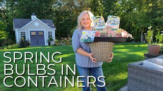 How To Grow Tulips in Pots! Planting Spring Blooming Bulbs In Containers  Planters Tulips, Daffodils