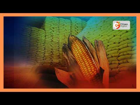 CS Mutahi Kagwe secures up to 1 million 90kg maize bags