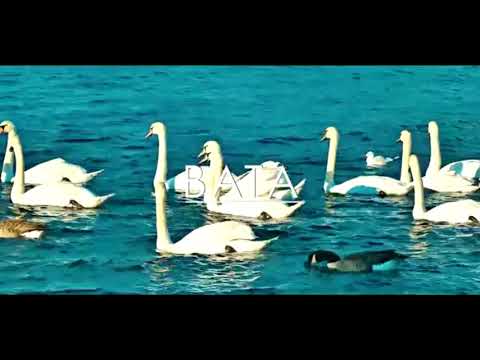 Jay Moe_-_Bata(Deejay Emma) [Extended]