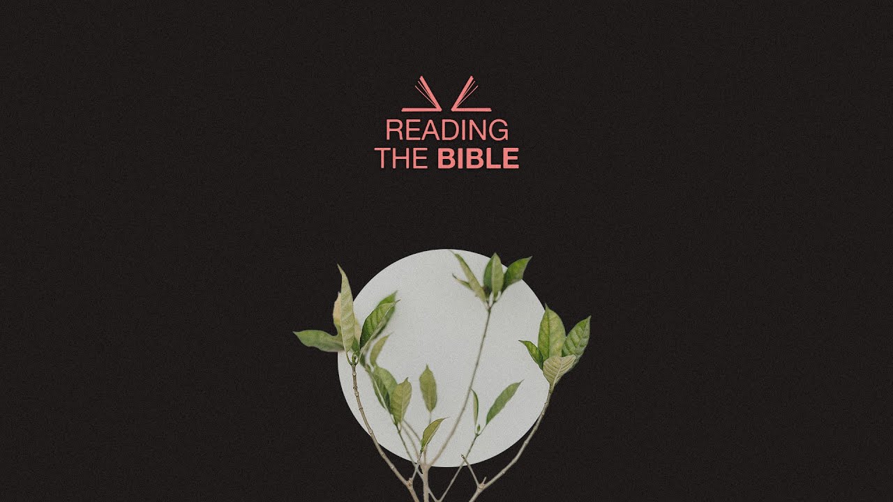 Reading the Bible // Part 2