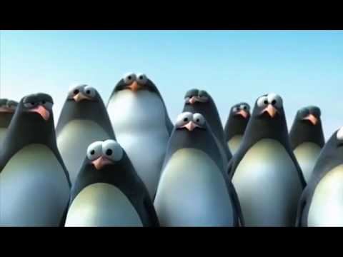 Pinguine auf einer eisscholle