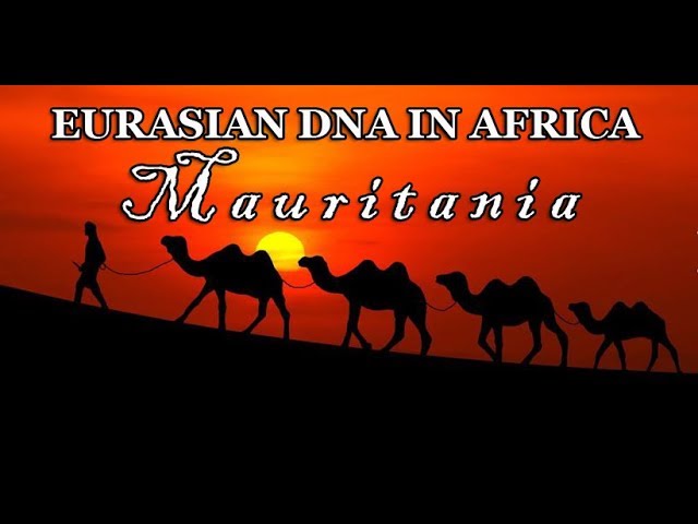 Eurasian DNA in Africa - Mauritania