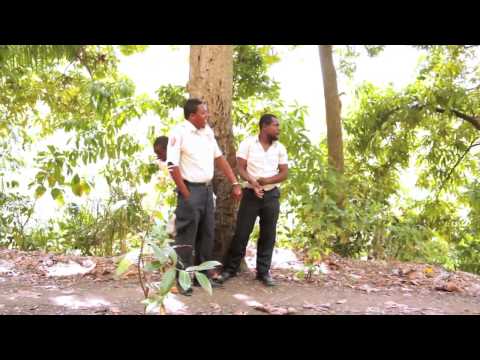 Matyas and Joj - Ou Fout Bel (2014)