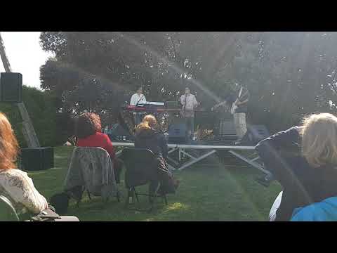 Intrús 2020 (1) - Delight al jardí de les alzines