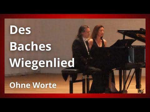Franz Schubert - Des Baches Wiegenlied (Karl Tausig Piano Duo)