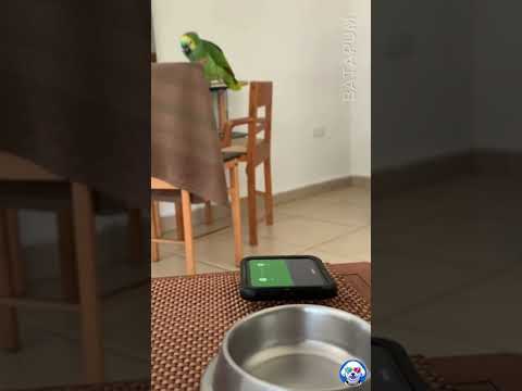 Puedes reírte, pero esta app me ha salvado en más de una emergencia: es el «Google Maps» de los baños y se convierte en todo un básico si vas de viaje