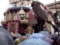 Sultan S Elephant