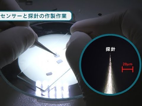 『ココカラ』Research25【ナノスケールで探る量子の世界】/金沢大学研究紹介動画