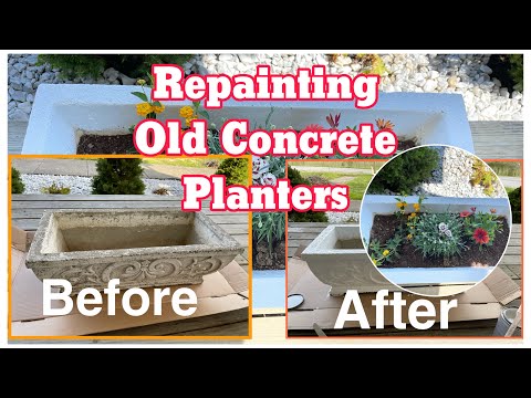 #shorts | REPAINTING OUR OLD CONCRETE PLANTERS | Boo and Bailey
