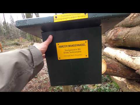 Stempelstelle 189 Große Teufelsmühle - Harzer Wandernadel