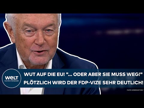 KUBICKI: Stocksauer auf die EU! "... oder aber sie muss weg!" Plötzlich wird FDP-Vize sehr deutlich!
