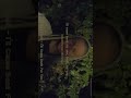 Malcolm Todd I Ll Come Back For You Malcolmtodd Illcomebackforyou Thaisub แปลเพลง  �