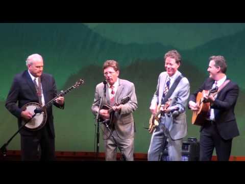 Banjo and Dobro player's of the year  2015 I.B.M.A. then Hot rise