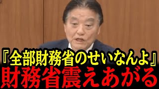 4/11【河村たかし】国会中継で財務省の悪事をすべて暴露...！事態が急変しました！#参政党#神谷宗幣#片山さつき#小野田紀美#高市早苗#日本保守党